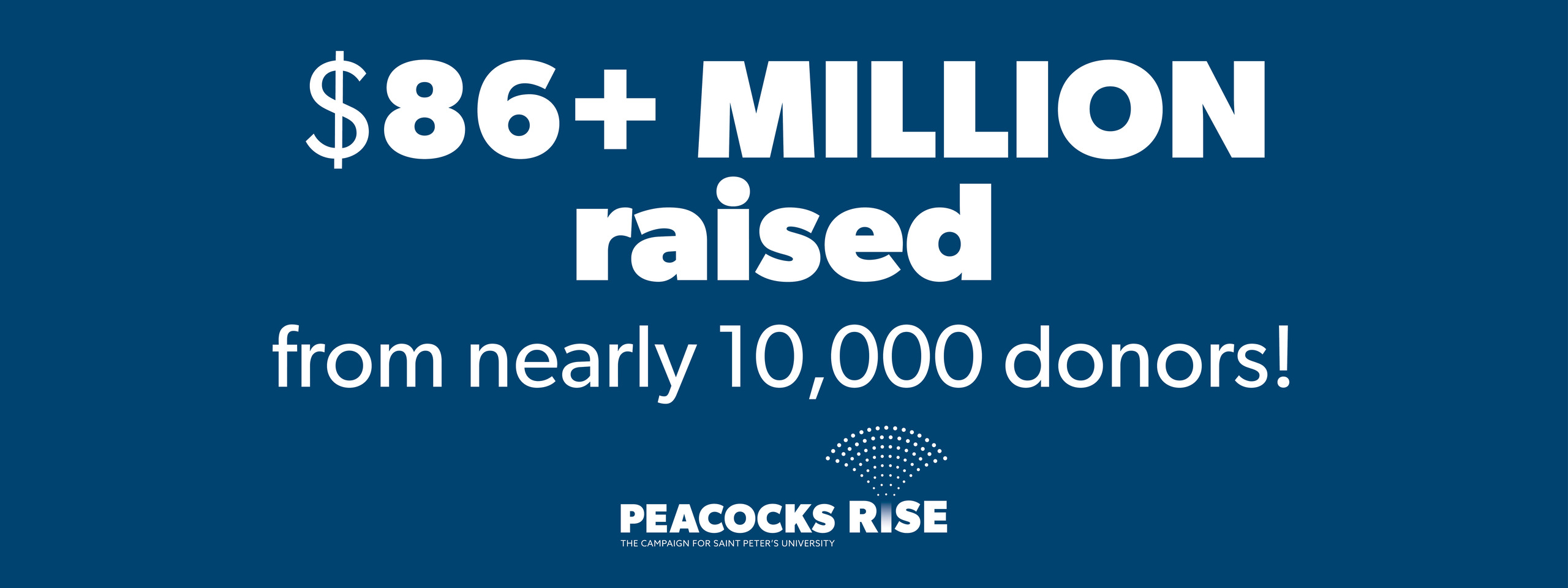 Peacocks Rise campaign final